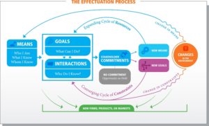 The Effectuation Process